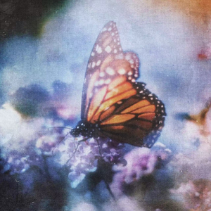 女性稳私㊙️网站
