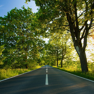 女性稳私㊙️网站
